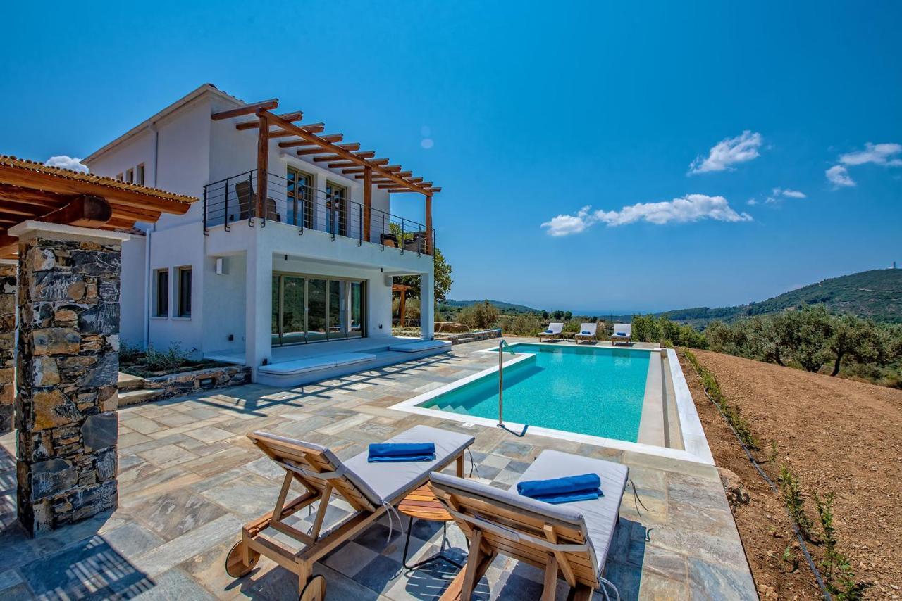 Stargaze Villas Panormos  外观 照片
