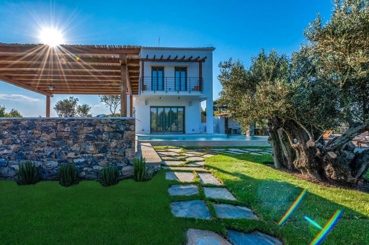 Stargaze Villas Panormos  外观 照片